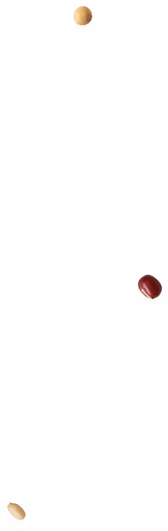 KOKUU